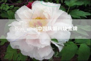 山西中国队第八块金牌