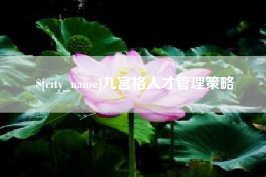 山西九宫格人才管理策略