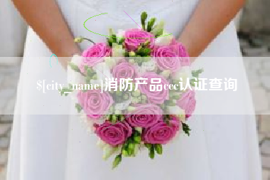 山西消防产品ccc认证查询
