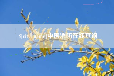 山西中国消防在线查询