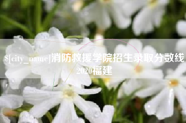 山西消防救援学院招生录取分数线2020福建