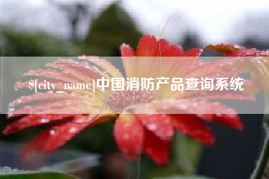 山西中国消防产品查询系统