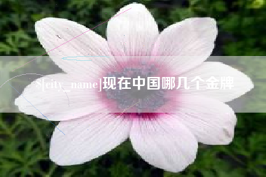 山西现在中国哪几个金牌