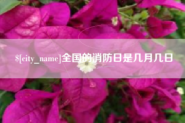 山西全国的消防日是几月几日