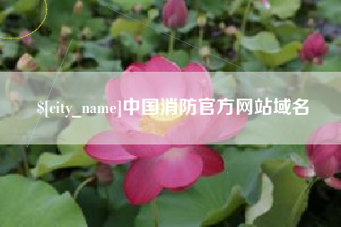 山西中国消防官方网站域名