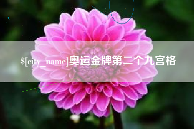 山西奥运金牌第二个九宫格
