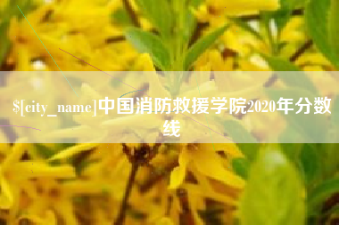 山西中国消防救援学院2020年分数线