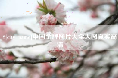 山西中国金牌图片大全大图真实高清