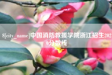 山西中国消防救援学院浙江招生2020分数线