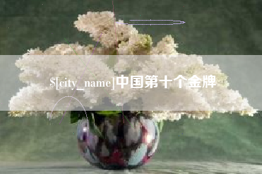 山西中国第十个金牌