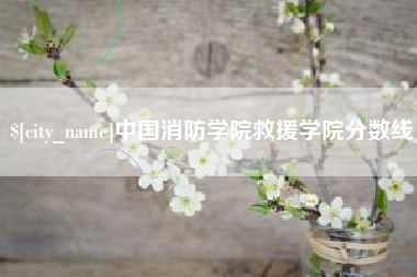 山西中国消防学院救援学院分数线