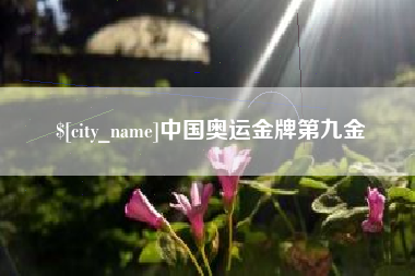 山西中国奥运金牌第九金
