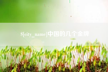山西中国的几个金牌