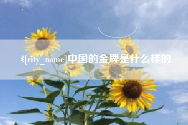 山西中国的金牌是什么样的