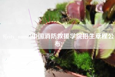 山西中国消防救援学院招生章程公布!