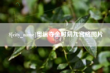 山西奥运夺金时刻九宫格图片