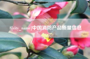 山西中国消防产品质量信息