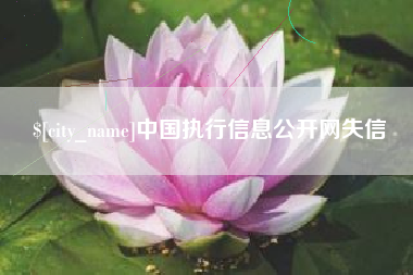 山西中国执行信息公开网失信