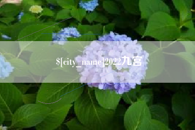 山西2022九宫