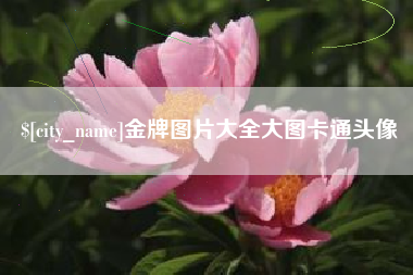 山西金牌图片大全大图卡通头像