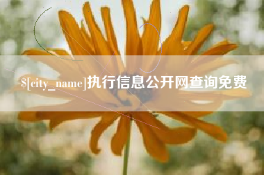 山西执行信息公开网查询免费